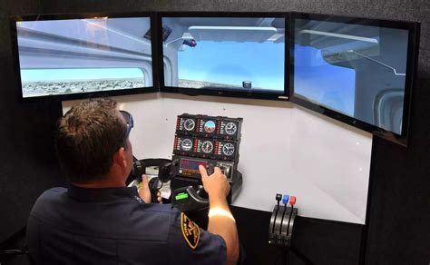 The Death of Flight Simulation. .